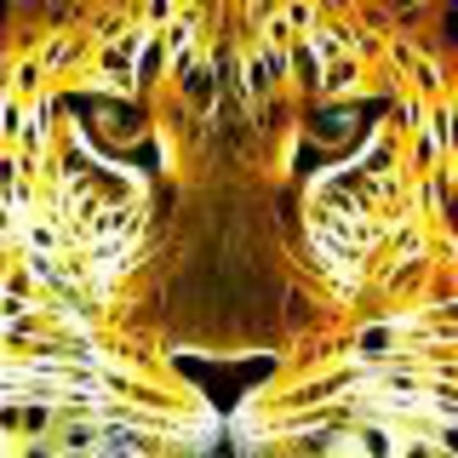 Gold-tiger