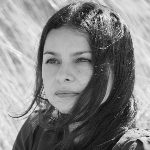 Hope Sandoval & The Warm Inventions