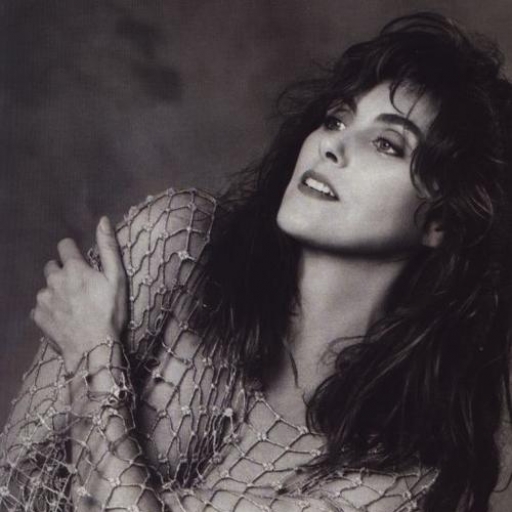 Silver Dreams — Laura Branigan